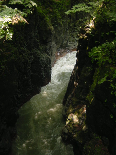 Dsc02441